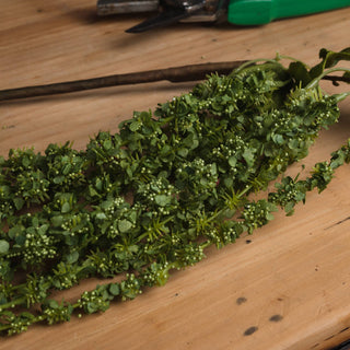 Close-up of the artificial green amaranthus stems, showing the texture of the small leaves and pale buds.