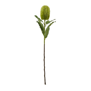 Plain front-on studio shot of the artificial green banksia stem, showing the spiky flower head, leaves, and long brown stem.