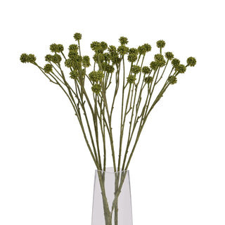 Artificial green craspedia stems grouped in a clear, narrow glass vase. Studio shot.