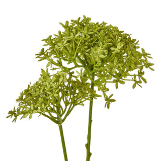 Close up detail of the artificial green crown hydrangea flower heads and florets.