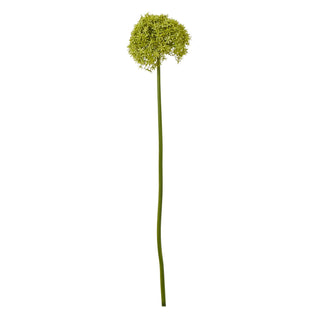 Artificial green giant allium floral stem shown full length against a white background.