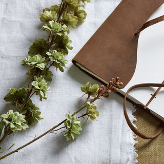 Detailed view of the green hops stem showing textured buds and leaves on white linen.