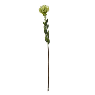 Artificial green pincushion protea flower stem with small leaves on a white background. Plain front-on product shot.