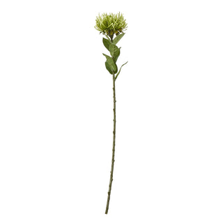 Plain front-on studio shot of the long artificial green protea stem and flower head.