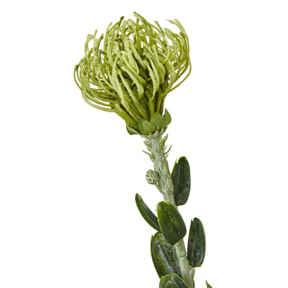 Artificial green protea flower head close up, showing textured stem and small waxy leaves.
