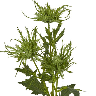 Detailed view of the three artificial green sea holly flower heads and surrounding spiky foliage.