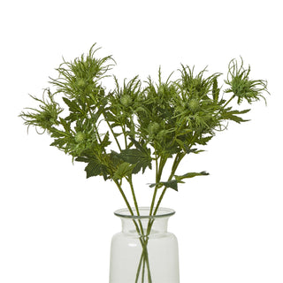 Several artificial green sea holly stems displayed in a clear glass vase on a white background.