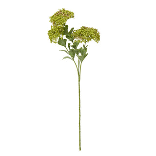 Single artificial sedum spray on a white background, showing the long stem, green leaves, and light green flower clusters.