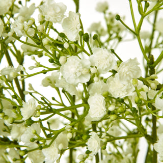 Close up detail of the artificial cream gypsophila flowers and green buds on the spray.