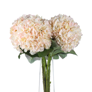 Artificial cream and blush hydrangeas arranged in a clear glass vase, showing the stems and leaves.
