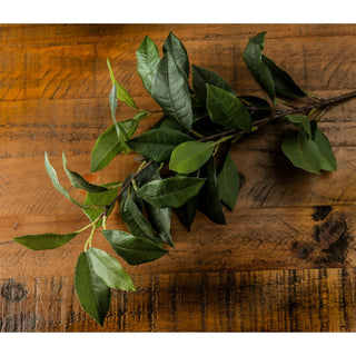 Detail shot of the artificial laurel leaves and stem, resting on a heavily grained wooden background.