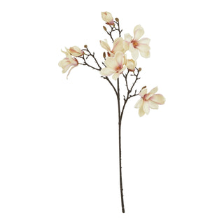 Front-on view of the artificial magnolia stem featuring several cream and pale pink flowers and buds.