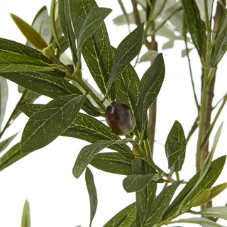 Close-up detail of the artificial olive tree leaves and a single dark olive fruit on a branch.