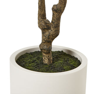 Close-up of the artificial tree base, showing the textured stem rising from the dark moss inside the white pot.