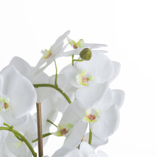 Artificial white orchid blooms and bud detail shot against a plain white background.
