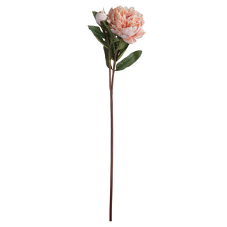 Full length view of a single artificial peach peony rose stem with one open flower and one closed bud.