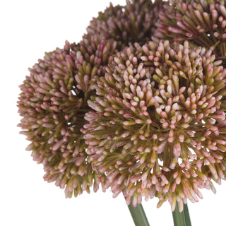 Extreme close-up of clustered artificial pink and green allium flower heads against a white background.