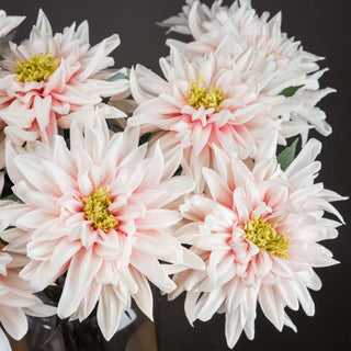 Close-up detail of several artificial dahlia blooms showing the white petals, pink centres, and yellow stamens.
