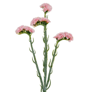 Four clusters of pale pink artificial statis flowers on textured green stems, photographed against a white background.
