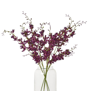 Several purple cymbidium sprays arranged together in a clear glass vase.