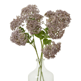 Artificial purple sedum spray stem arranged in a clear glass vase against a white background.