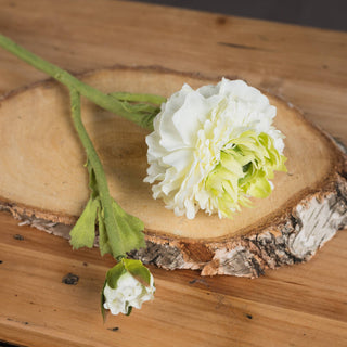 Close-up of the artificial ranunculus flower head, white petals and green centre, with a small closed bud, on a birch wood slice.
