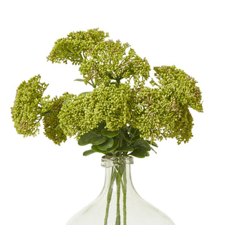 Multiple artificial sedum sprays bunched in the neck of a clear glass vase.