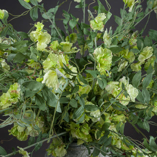 Detailed view of the artificial sweet pea stems, showing ruffled pale green flowers and dense green leaves.
