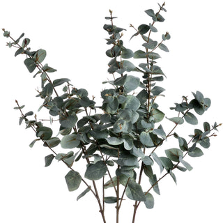 Full product shot of several artificial variegated eucalyptus stems on a white background.