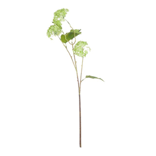 Full length view of the artificial green viburnum stem with three flower clusters on a white background.