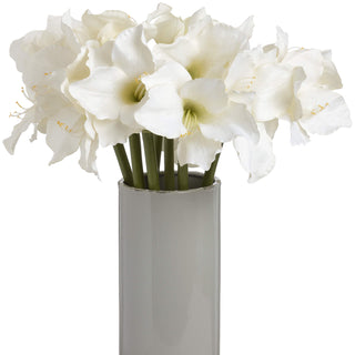 Multiple white amaryllis stems bunched in a tall, plain cylindrical grey vase against a white background.