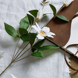 Close-up showing the open white clematis flower with yellow and orange centre, resting on a white linen surface.