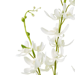 Close detail of the artificial white cymbidium flowers and green stem with closed buds