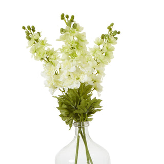 Three white delphinium stems and green foliage in the neck of a clear glass vase.