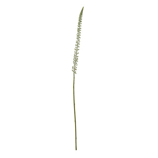 Artificial white Eremurus stem shown vertically against a white background.