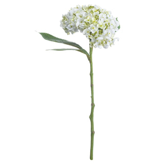 Artificial white lace cap hydrangea stem showing textured green stalk and two large leaves.