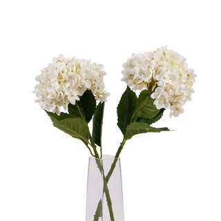 Two white artificial hydrangea stems with green leaves in a clear vase, photographed against a white background.