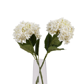 Two artificial white hydrangea stems visible crossing inside the clear glass vase.