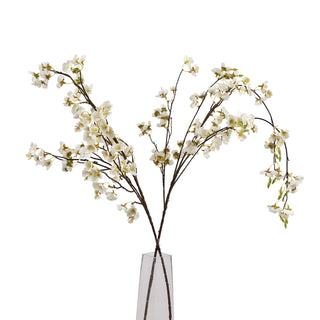Two stems of artificial white Japanese blossom in a clear rectangular vase.