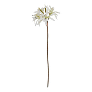 Plain studio shot of a single artificial white Nerine lily stem with a cluster of spiky white flowers.