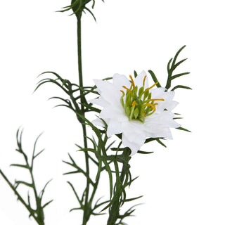 Artificial white nigella flower close-up, showing detailed petals and fine, dark green foliage.