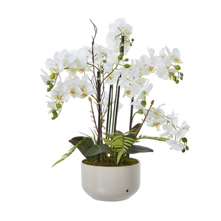 Artificial white orchid plant with multiple blooms and fern foliage in a round ceramic pot.