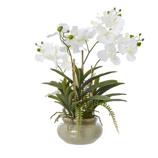 Artificial white orchid plant with green leaves and exposed roots in a round, speckled ceramic pot.