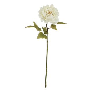 Plain front-on view of the artificial single stem white peony with a large creamy bloom and green leaves.