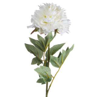 Artificial white peony bloom with textured green foliage on the stem, isolated on a white background.