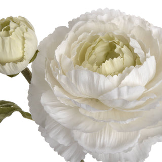 Tight detail of the white ranunculus flower showing the layered petals and creamy green centre.