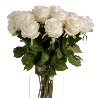 Bunch of artificial white rose stems with green leaves in a clear glass vase.