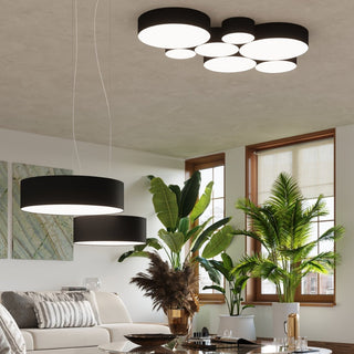 Living room setting with multiple black ceiling lights installed above tropical indoor plants and light furniture.