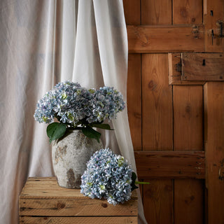 Blue hydrangeas in a stone vase and loose on a wooden crate, set against sheer fabric and rustic wood panelling.