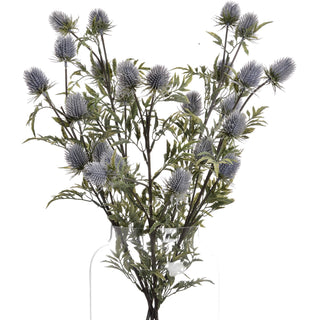 Full view of multiple blue thistle stems in a clear glass vase against a plain white background.
